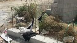 Muğla'da yeni doğmuş bebek cesedi bulundu