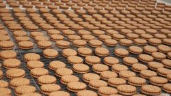 Pastacılık ürünleri ihracatımız 9 ayda 1,5 milyar dolara ulaştı