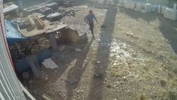 Kahramanmaraş’ta tavukları torbaya koyup çaldı