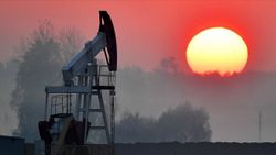 Rusya'nın petrol ihracatı ve doğalgaz gelirleri azaldı
