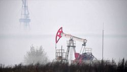 OPEC'e göre petrol, 2045'e kadar küresel enerjide en fazla paya sahip olacak