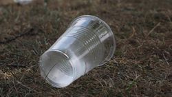 Kanada’da plastik atıklara karşı önlem