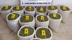 Bingöl'de 213 kilo esrar ele geçirildi