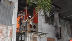 İzmir'de 2 katlı binada yangın: 25 papağan telef oldu