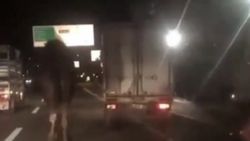Bursa'da kamyonetin arkasına bağladıkları deveyi koşturdular