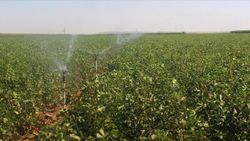 Tarım ve sulama için bütçeden 57.5 milyar lira kaynak ayrıldı