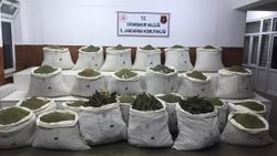 Diyarbakır'da 877 kilo esrar bulundu
