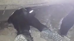 İzmir’de enkaz altında kalan kedinin kurtarılma anı