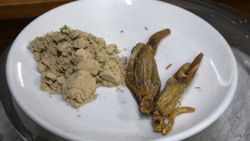 Bağışıklığı güçlendiren 'ginseng', kilosu 2 bin liradan alıcı buluyor