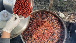 Tunceli'de kadınlar yaptıkları doğal ürünleri ihraç etmeye başladı