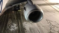 Alaska'da yolcu uçağı, inişte boz ayıya çarptı