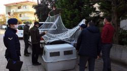 Sakarya’da fiyatı 150 bin liraya kadar çıkan vahşi kedi ele geçirildi