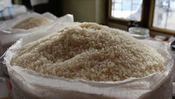 Tosya pirinci kilogramı 7 ila 13 liradan alıcı buluyor