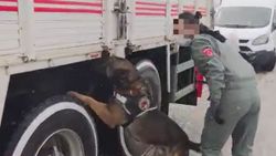Van’da polis 220 kilo 300 gram eroin ele geçirdi