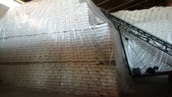 Muş'ta şeker pancarı üretimi şehre 100 milyon lira kazandırıyor