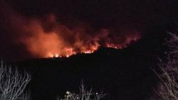 Giresun’da orman yangını