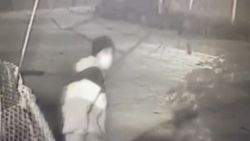İstanbul'da ev arkadaşını öldüren katil zanlısı yakalandı