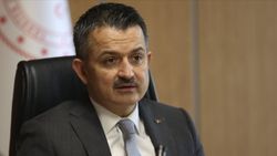 Bekir Pakdemirli: Geçen yıl 11 ayda tarım ve gıda ürünleri ihracatı yüzde 4,3 arttı