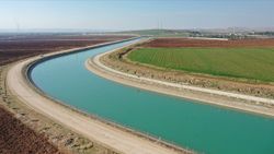 Şanlıurfa'da yağışlar çiftçiyi sevindirdi