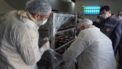 Kırklareli'nde ülkeyi ayağa kaldıran 100 kilo döner imha edildi