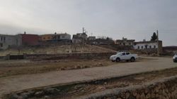 Mardin'de arazi anlaşmazlığı: Yengesi ile yeğenlerini vurdu