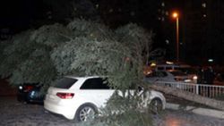 Kayseri'de şiddetli rüzgar: Ağaçlar devrildi, çatılar uçtu