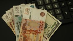 Rusya'da bankacılık sektörünün net kârı geçen yıl düştü