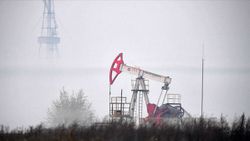 Wood Mackenzie: Petrol talebi günlük 6.3 milyon varil artacak