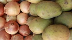 Eldeki patates ve soğanın acilen pazarlanması uyarısı