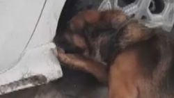 Konya'da otomobilin çamurluğuna gizlenmiş eroin bulundu