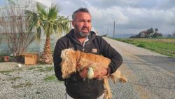 Antalya'da elinde tüfekle köpeği kovalarken yakalandı