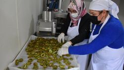 Karadeniz'in üreten kadınları Ordu'da güç birliği yaptı