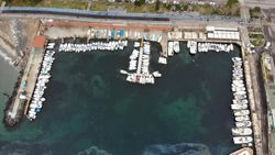 Balıkçıların kabusu 10 yıl sonra Marmara'ya geri döndü