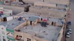 Şanlıurfa'da katil zanlısı drone destekli operasyonla yakalandı