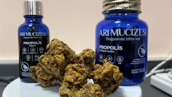Doğal hali 300 lira olan propolis işlendiğinde 25 bin liraya çıkıyor