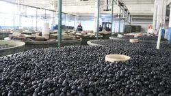 Marmarabirlik’ten ortaklarına 75 milyon lira