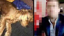 Ankara'da emanet edilen köpeğe cinsel istismar iddiasına iddianame