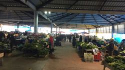 Samsun'da koronavirüslü pazarcı tezgahta yakalandı