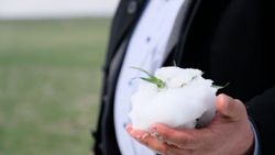 Son yağışlar Konya Ovası'nda yüzleri güldürdü