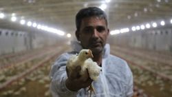 Devlet desteği ile Elazığ’da kurduğu çiftlikte, yılda 300 bin lira kazanıyor