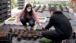 Yalova'da meslek lisesi ürettiği süs bitkilerini markalaştıracak