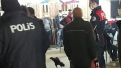 Elazığ'da metruk binaya horoz dövüşü baskını