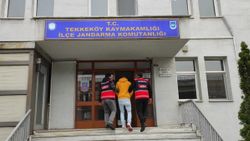 Samsun'da hırsızlık şüphelisi jandarma takibinden kaçamadı