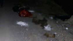 Ankara'da damar yolu açılmış 30'dan fazla köpek ölüsü bulundu