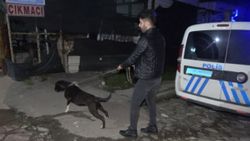 Bursa’da pitbullun yakaladığı, esnafın dövdüğü taciz şüphelisi tutuklandı