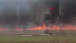 Çorum’da Gölünyazı Kuş Cenneti’nde yangın