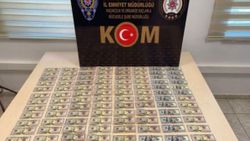 Mardin'de 6 bin 350 sahte dolar ele geçirildi