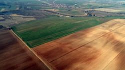 Fırsatçılar Bill Gates'e komşu olacaksınız iddiasıyla Trakya'da arsa satıyor