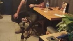 Aydın'da kaçak nargile satan kafeye baskın