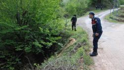 Bartın'da kaybolan yaşlı adamı arama çalışmaları devam ediyor